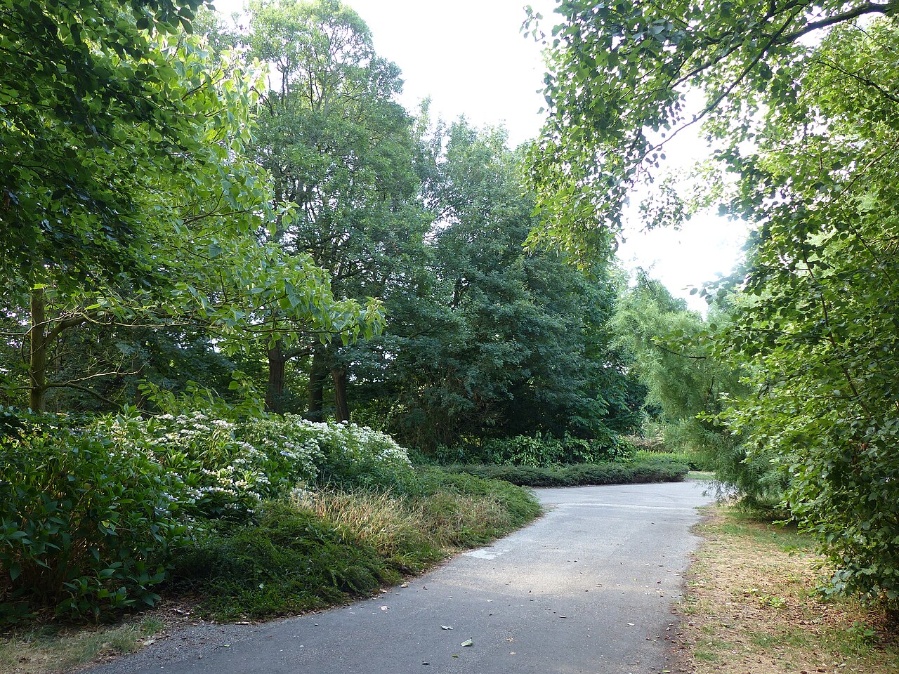 amsterdam roots oosterpark